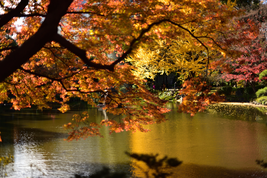 陽光の日比谷公園１