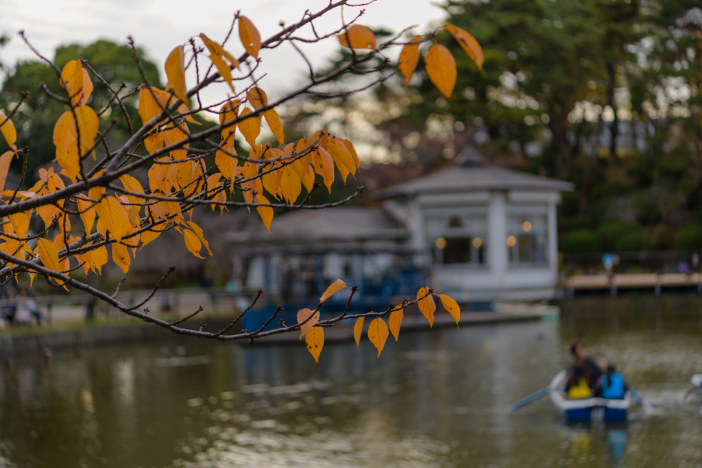 晩秋の公園５