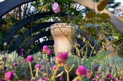 花の観客たち