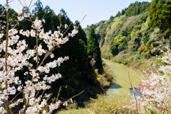 御禁止（おとめ）川