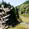 御禁止（おとめ）川