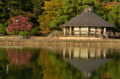 千葉公園の秋の深まり５