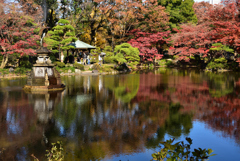 陽光の日比谷公園２