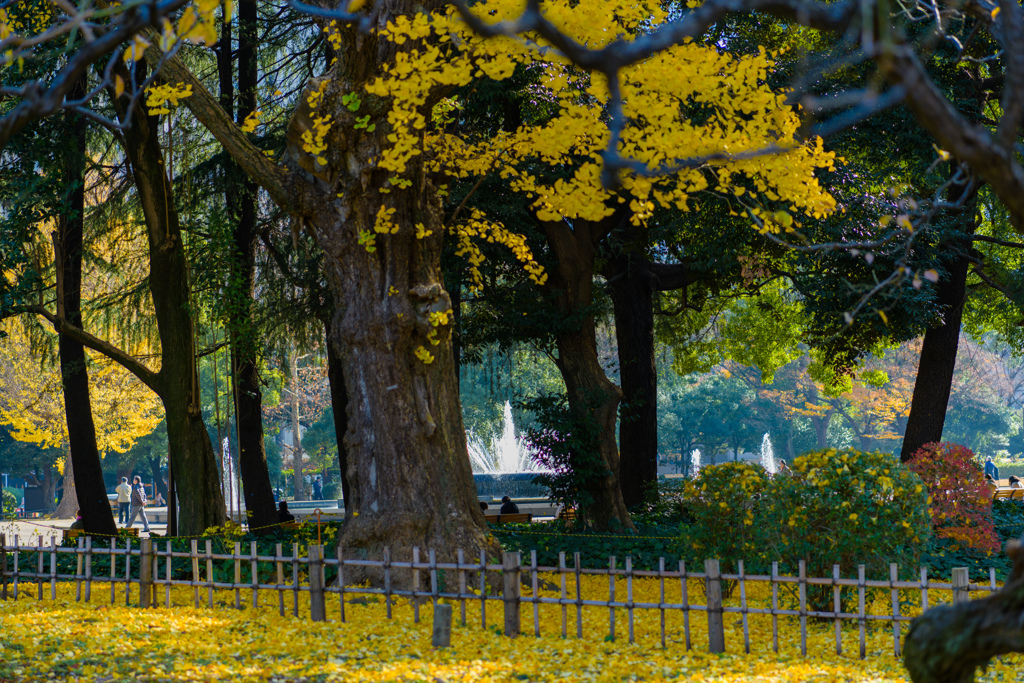 秋冬はざまの公園で４