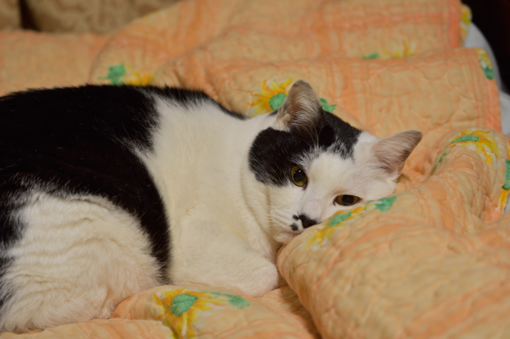 眠いような..!?