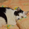 眠いような..!?