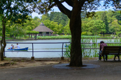 爽やかな夏の公園