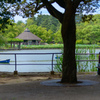 爽やかな夏の公園