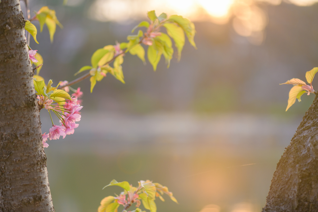 春寒の公園で７