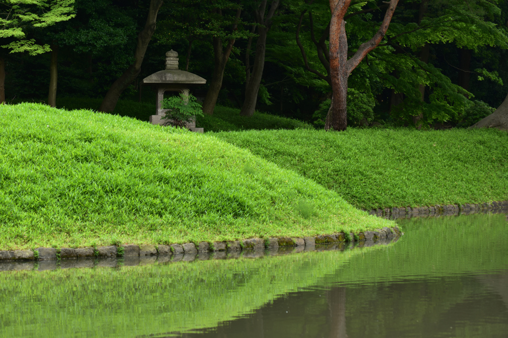 小石川後楽園で１