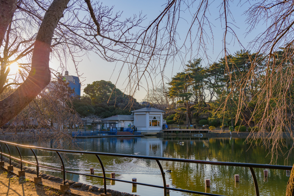 陽傾く公園で１