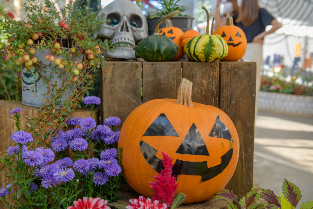 ハロウィン飾りの楽しみ