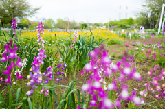 木場公園１