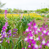 木場公園１
