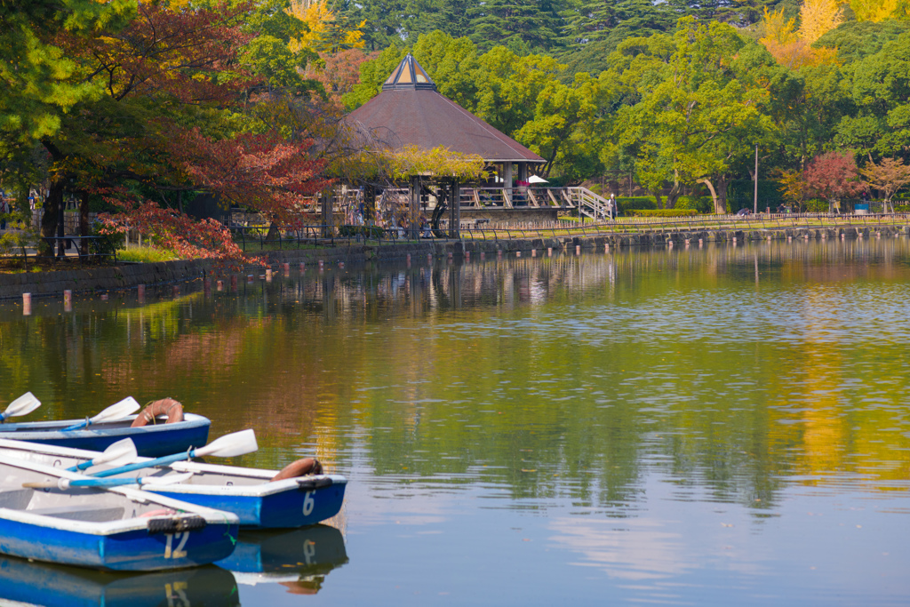 錦秋の公園