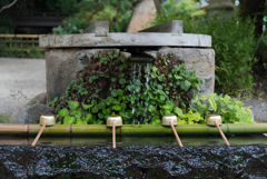 暑き日の深大寺３