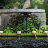 暑き日の深大寺３