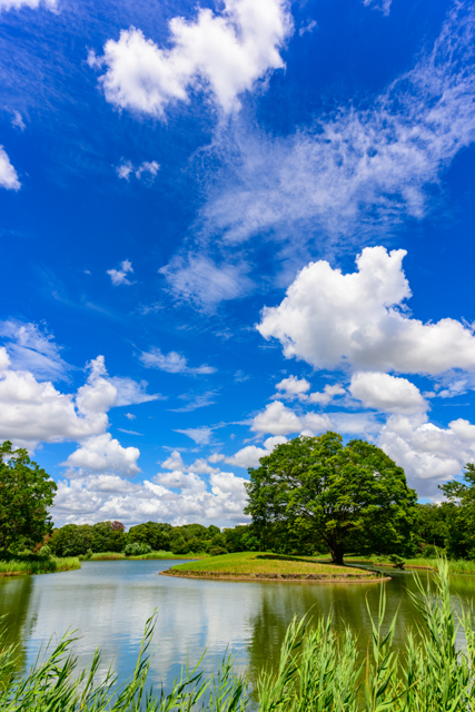 空・天体写真集