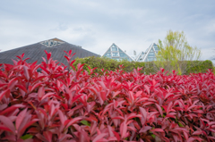 木場公園３