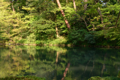 池に映る景色２