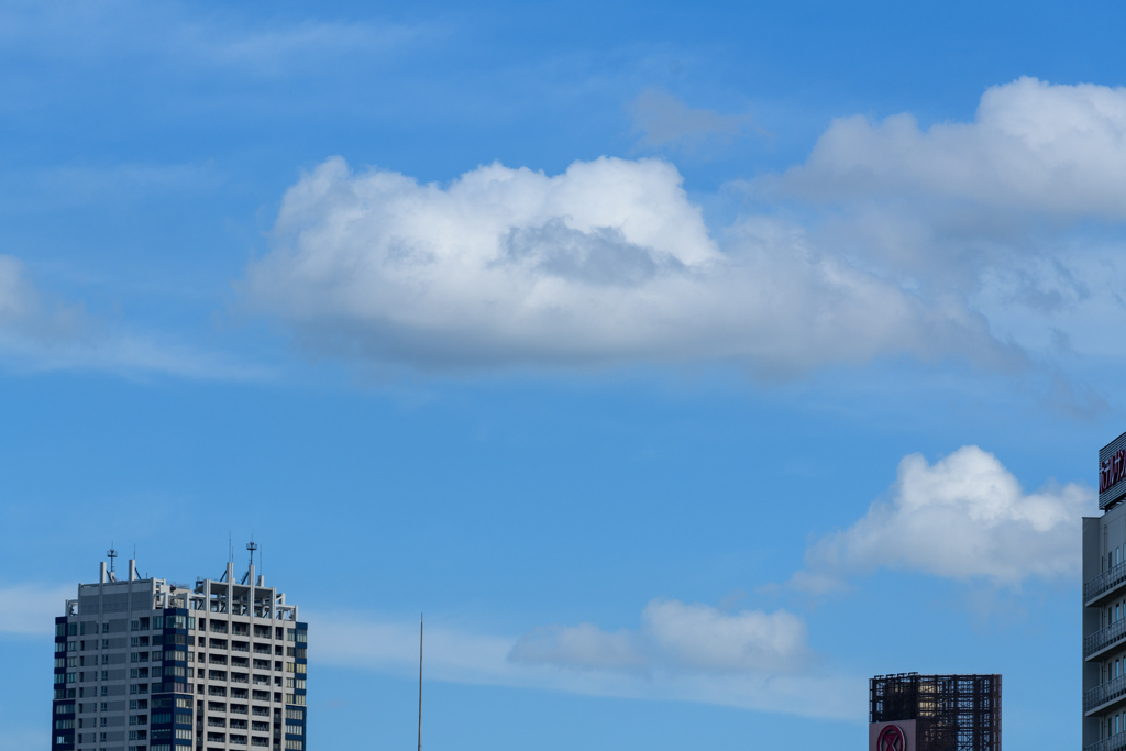 空見れば. . 秋５
