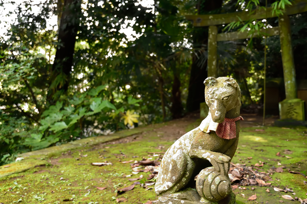 佐原の諏訪神社４