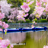 千葉公園の春３