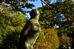早朝散歩で見た女１