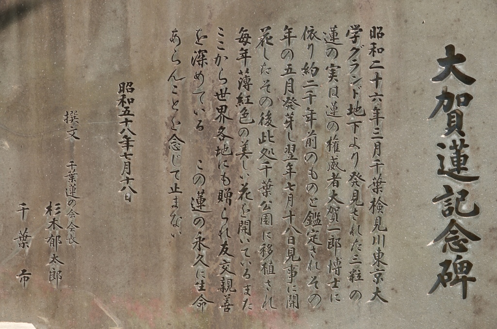 大賀蓮記念碑
