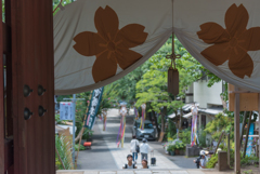 暑き日の深大寺４