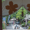 暑き日の深大寺４