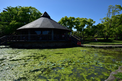 これから楽しみな公園で５