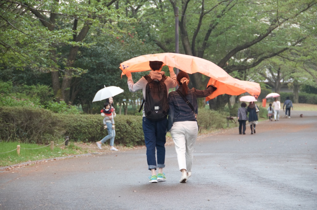突然の雨もまた宜し！