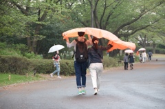 突然の雨もまた宜し！