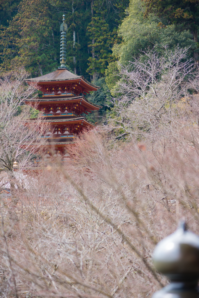 長谷寺五重塔