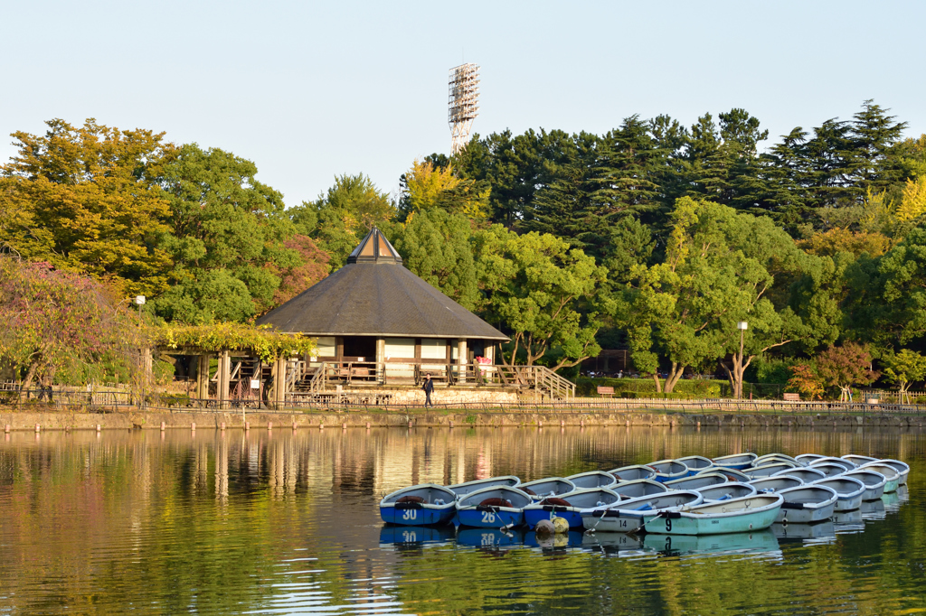 千葉公園の秋の深まり４