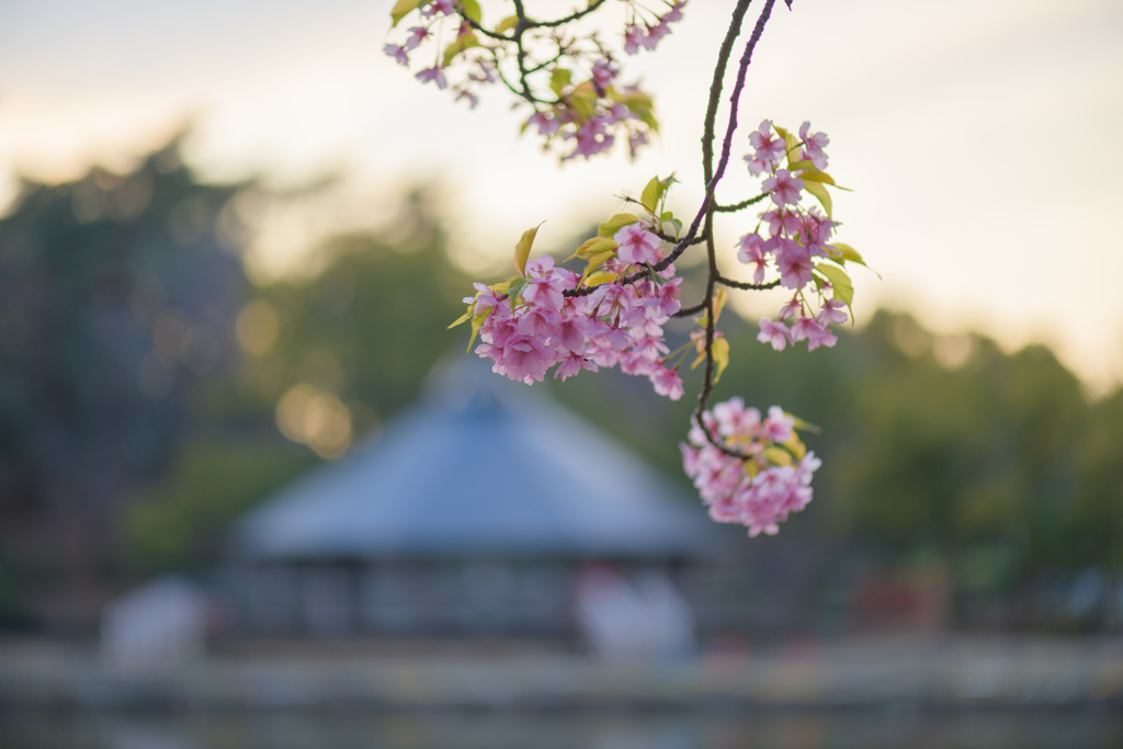 春寒の公園で６