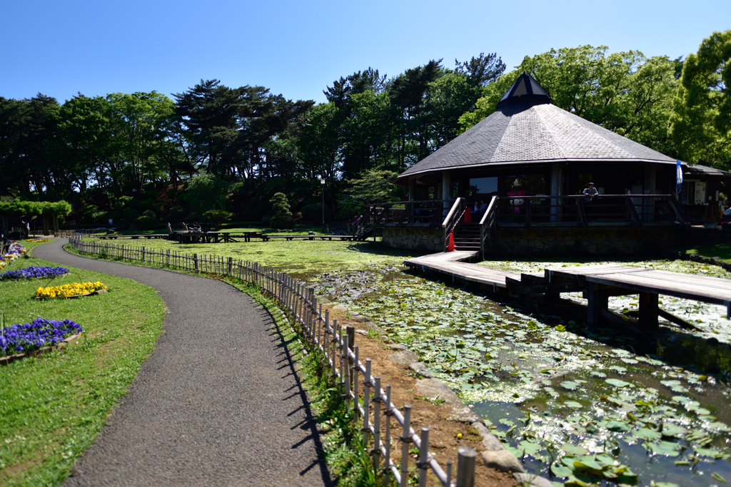 これから楽しみな公園で４