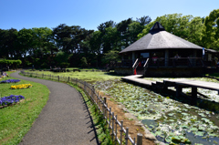 これから楽しみな公園で４