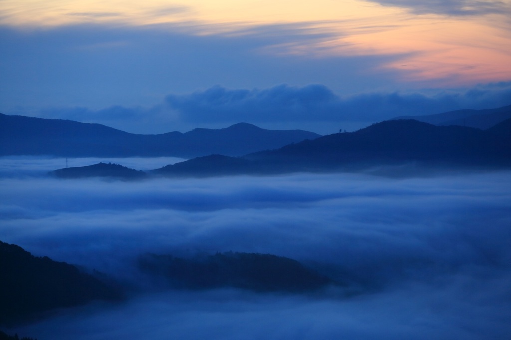 雲海