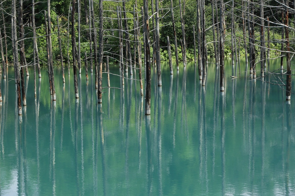 青い池