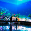 Underwater