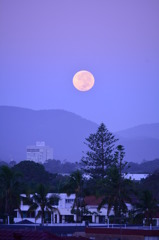 夜明け前