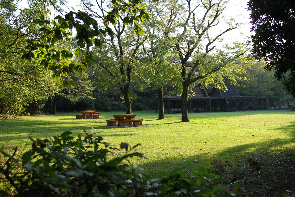 木漏れ日の広場