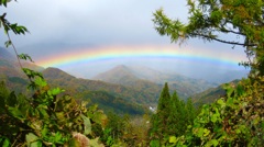 虹の架け橋