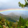 虹の架け橋