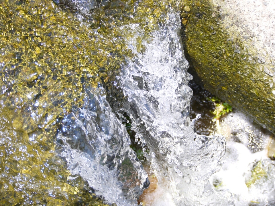 多摩川の水