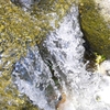 多摩川の水