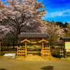 横川SAの桜