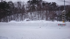 白石蔵王の雪景色